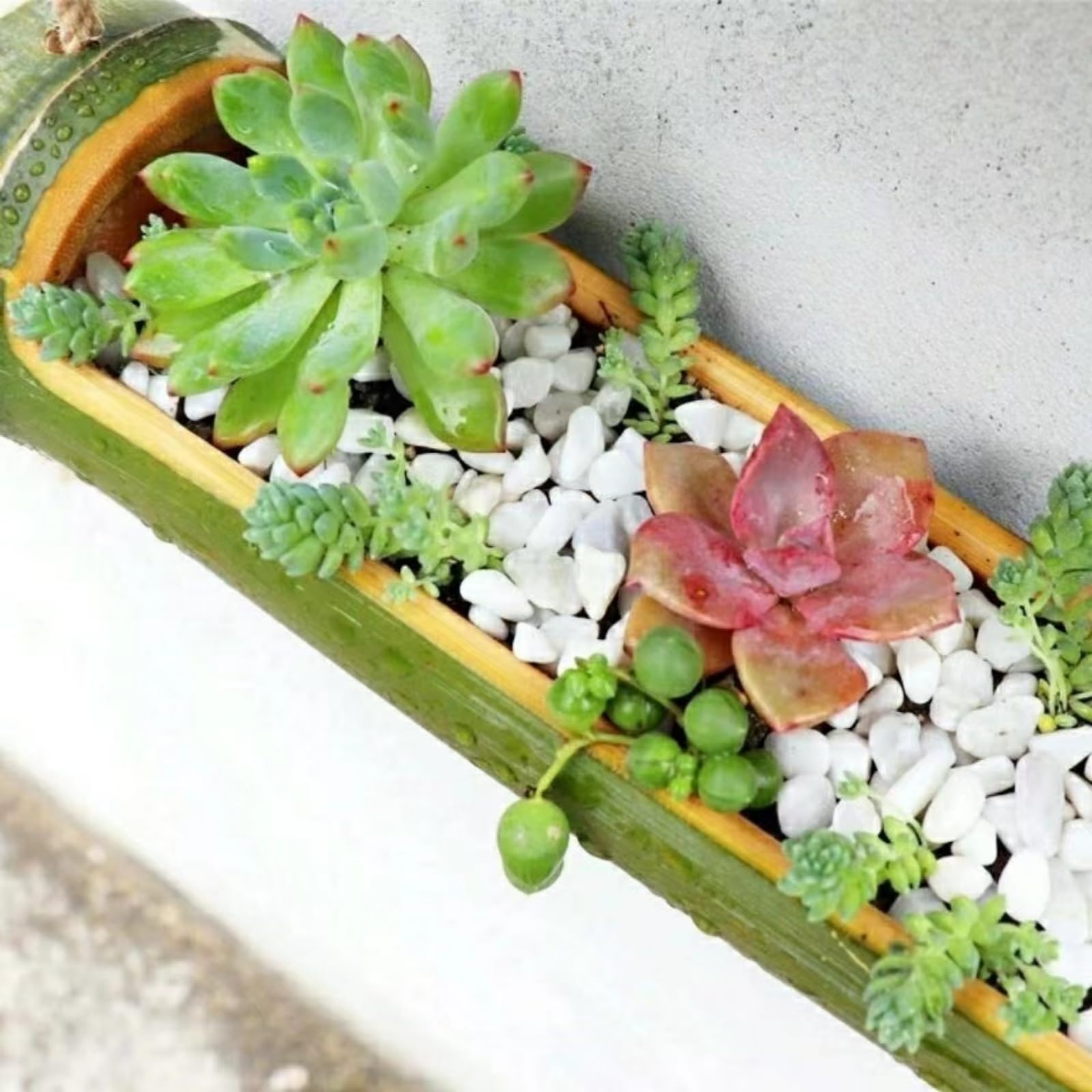 Amazon.co.jp: Warayumi 竹筒 花瓶 植木鉢 竹 造花 プランター
